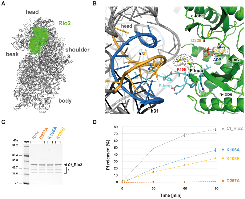 Figure 4.