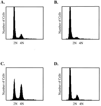 FIG. 6