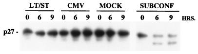 FIG. 5