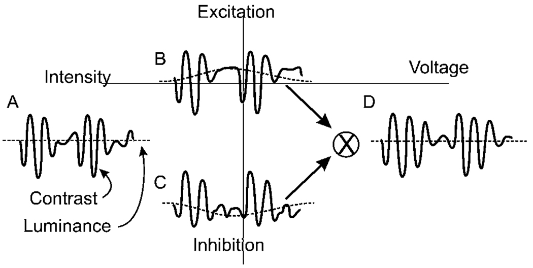 Fig. 10