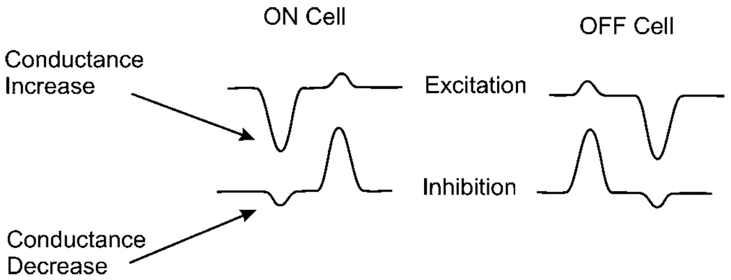 Fig. 8