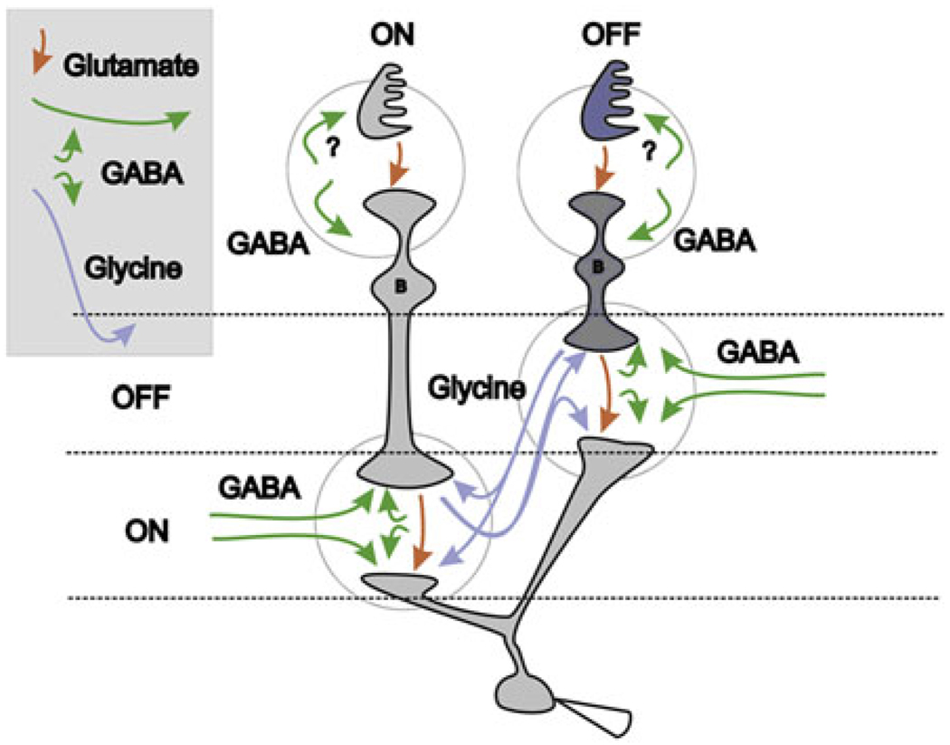 Fig. 1