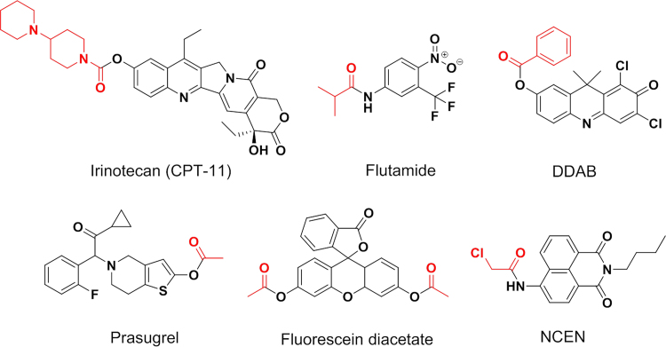 Fig. 4