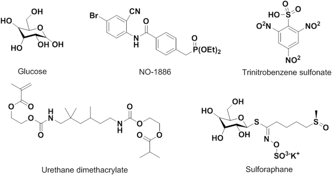 Fig. 10