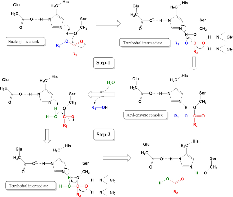 Fig. 2