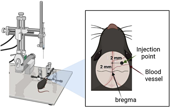 Figure 3