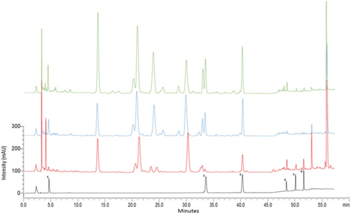 Figure 7