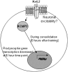 Figure 10.