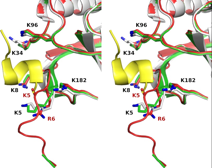 FIGURE 9.