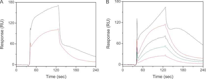 FIGURE 10.