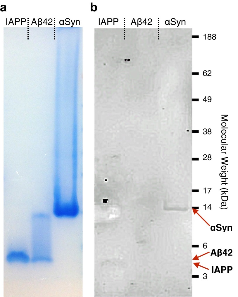 Fig. S10.