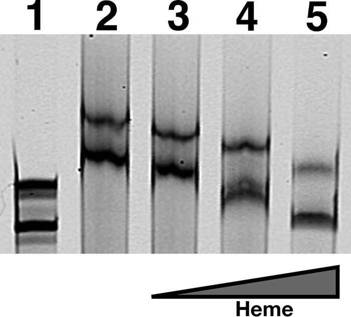 FIGURE 10.