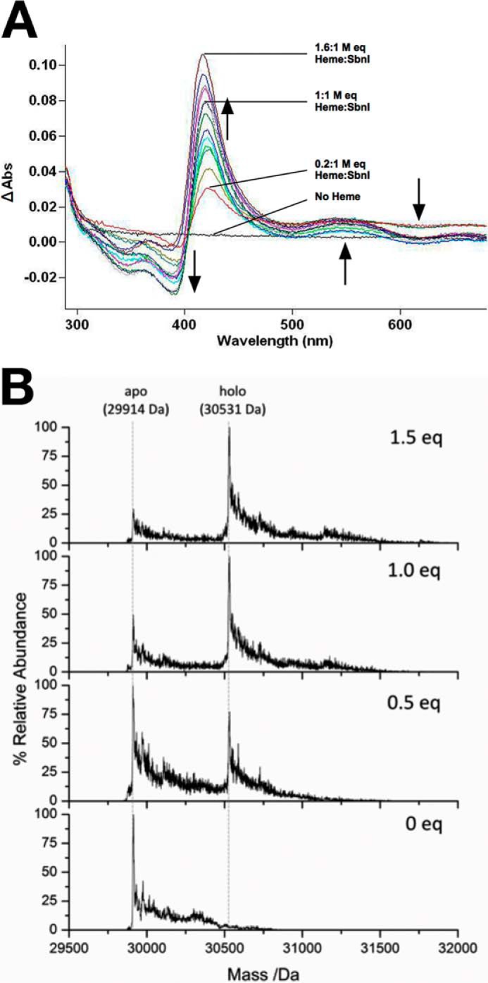 FIGURE 9.