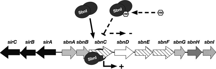 FIGURE 12.