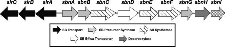 FIGURE 1.