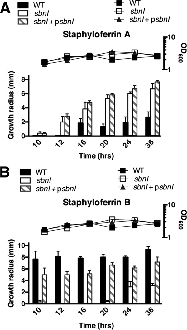 FIGURE 4.