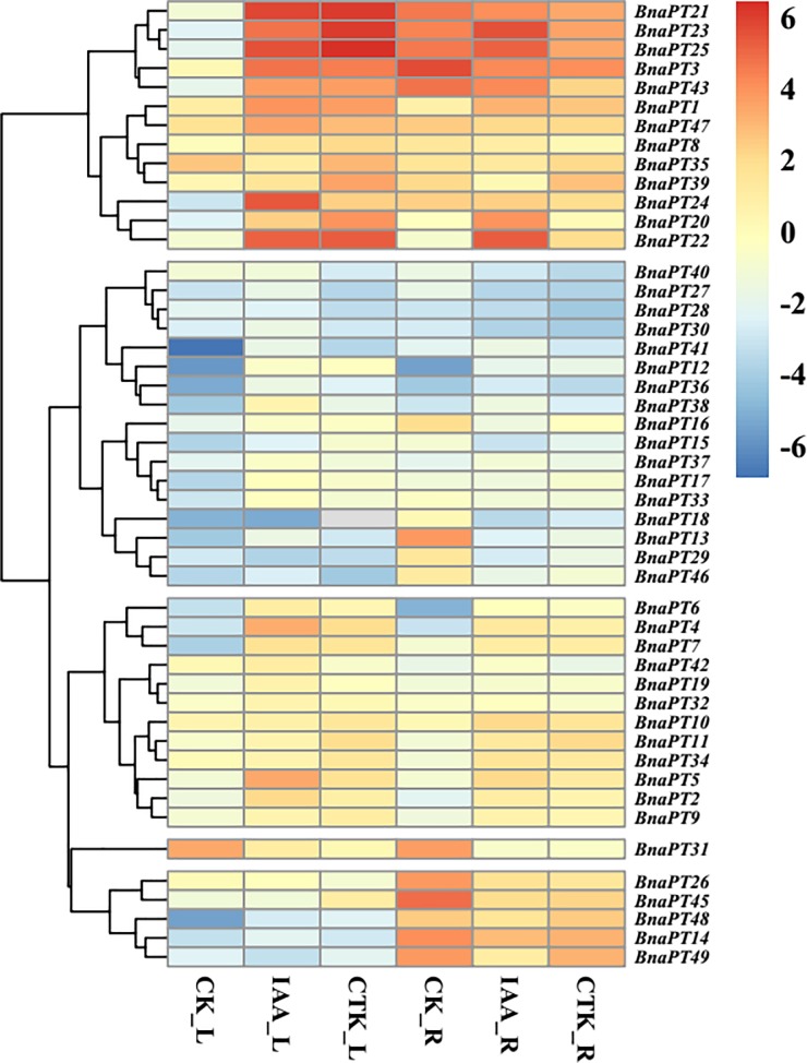 Fig 6