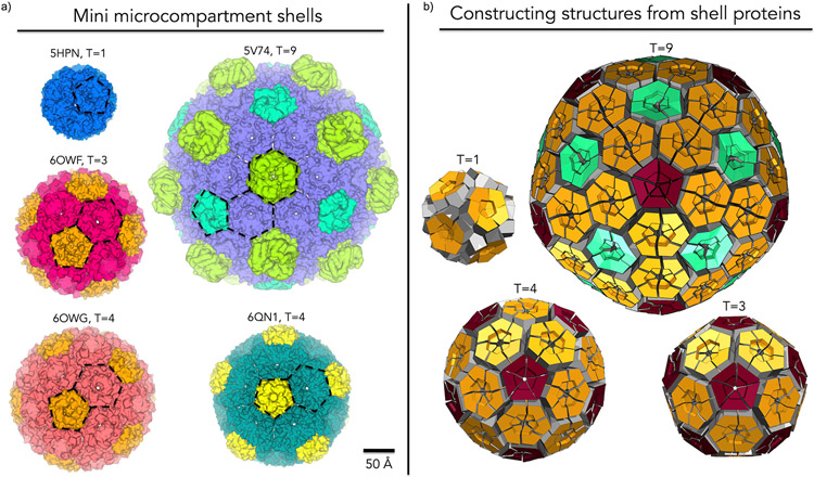 Figure 4: