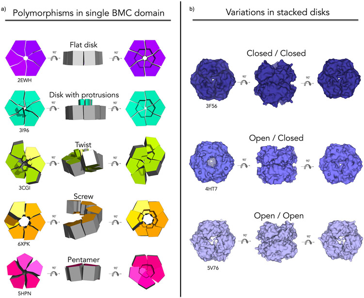 Figure 3: