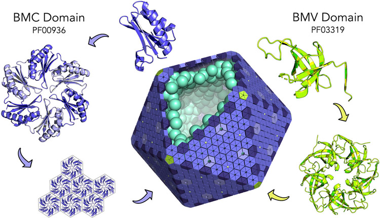 Figure 1: