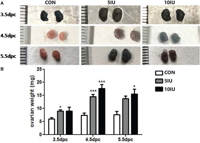 Figure 1