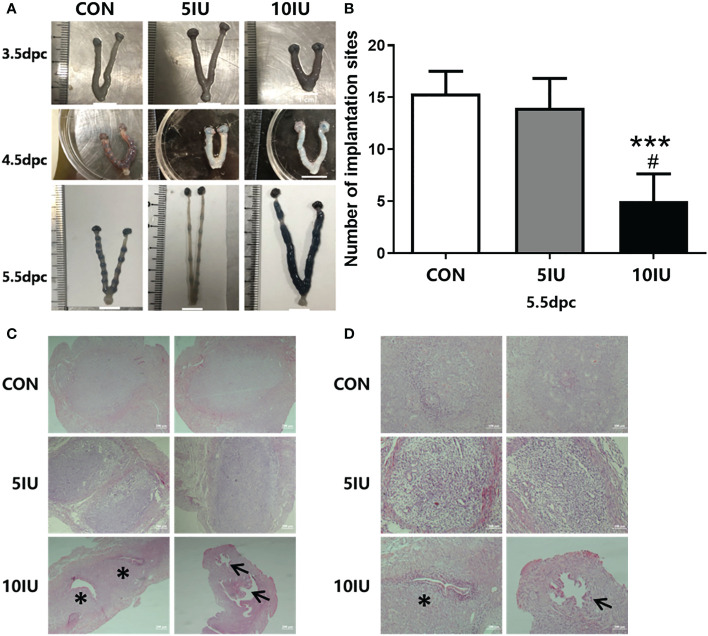 Figure 3