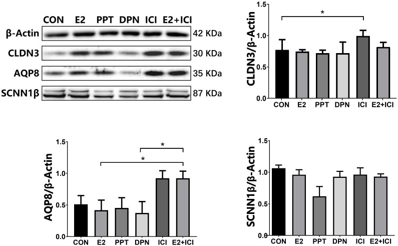 Figure 7