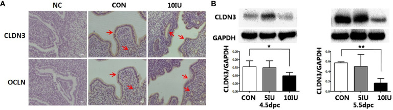 Figure 6