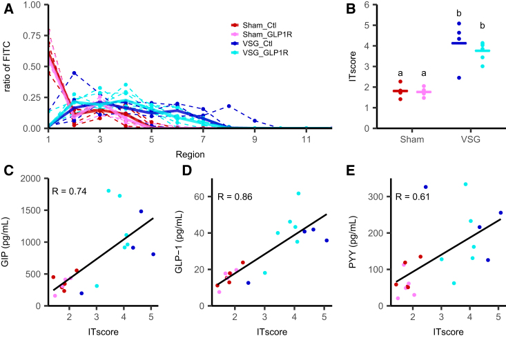 Figure 5