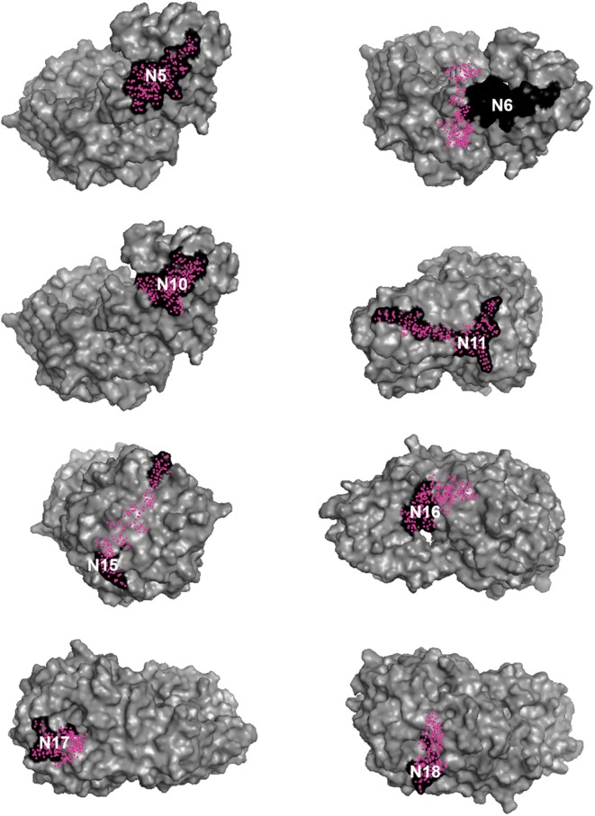 Fig. 3