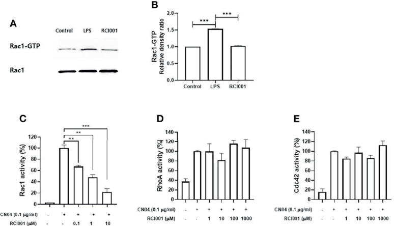 Figure 1