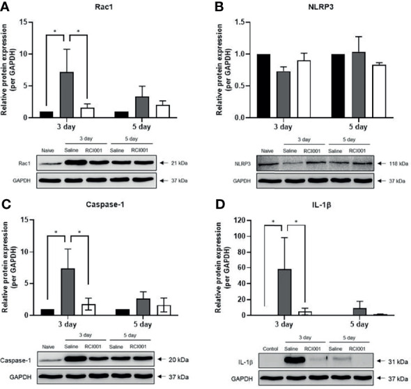 Figure 6