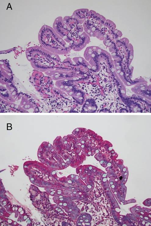 Figure 4)