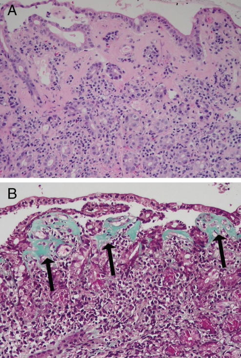 Figure 2)