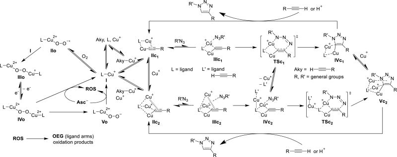 Scheme 3