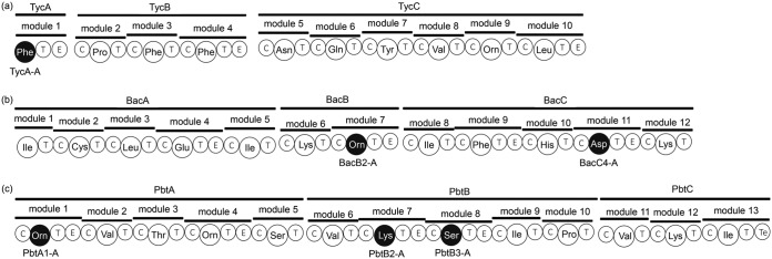 FIG 2