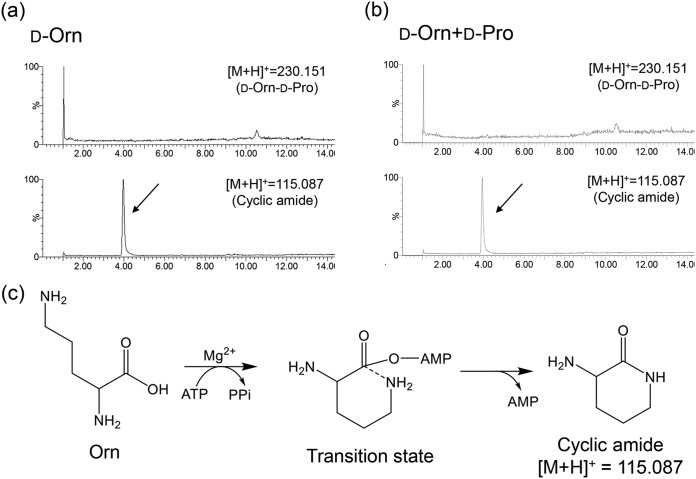 FIG 6