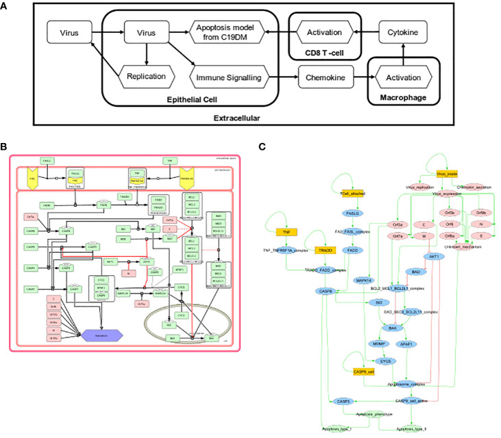 Figure 7