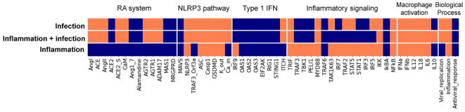 Figure 6