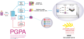 Image, graphical abstract