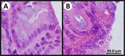 FIG 8