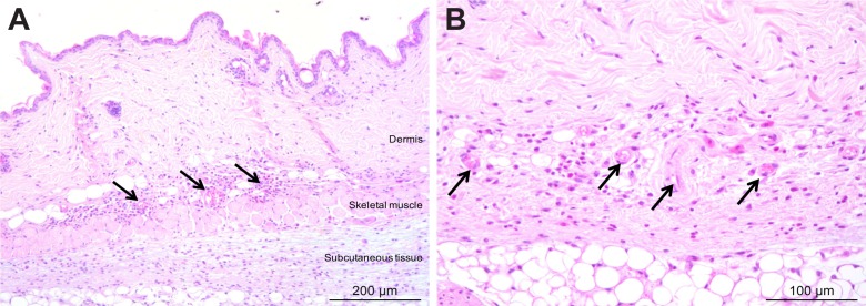 Figure 3—figure supplement 2.