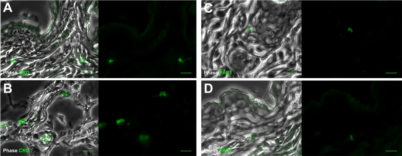 Figure 3—figure supplement 3.