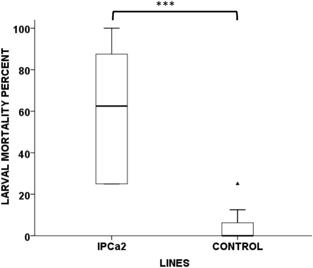 FIGURE 3