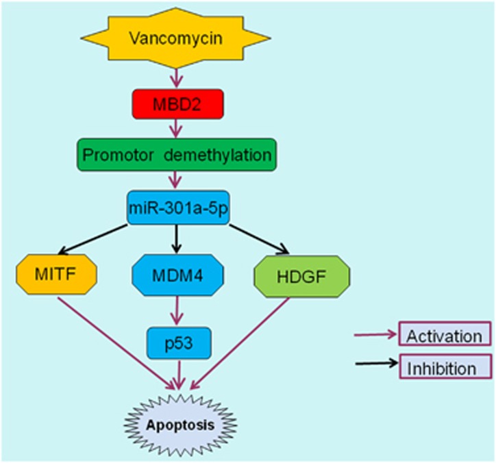 Figure 14