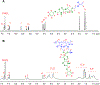Fig. 2.