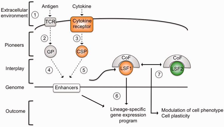 Figure 2: