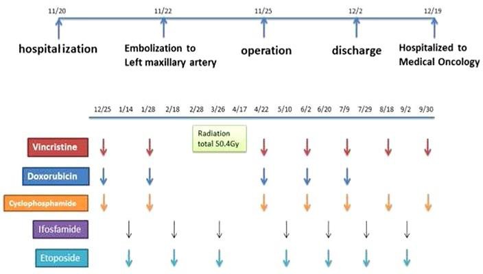 Fig. 6