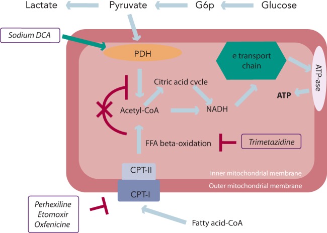 Figure 1: