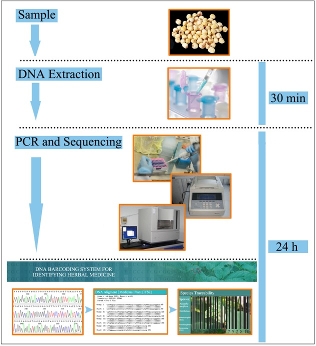 FIGURE 3